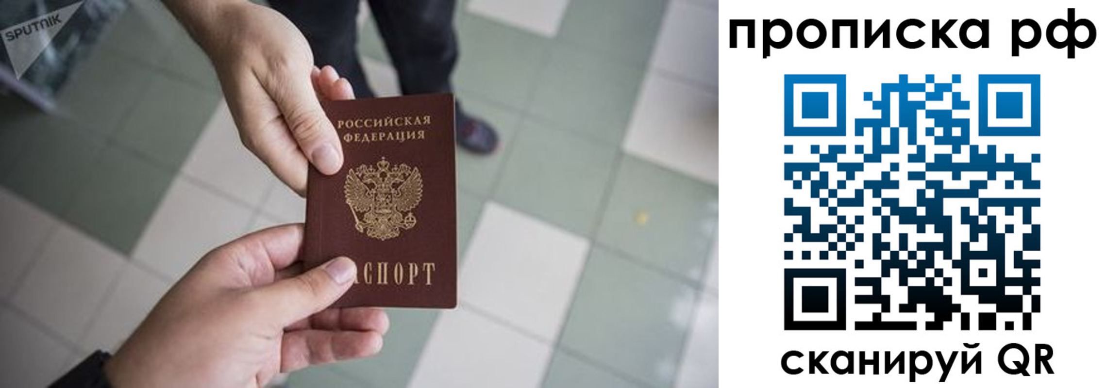 прописка гарантия в Арамили